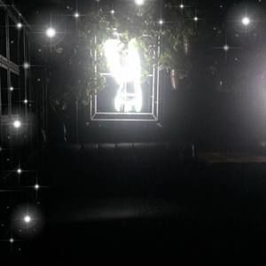 Meet your Posher, Normande